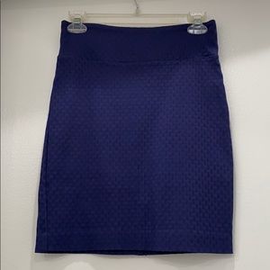 Navy Pencil Skirt